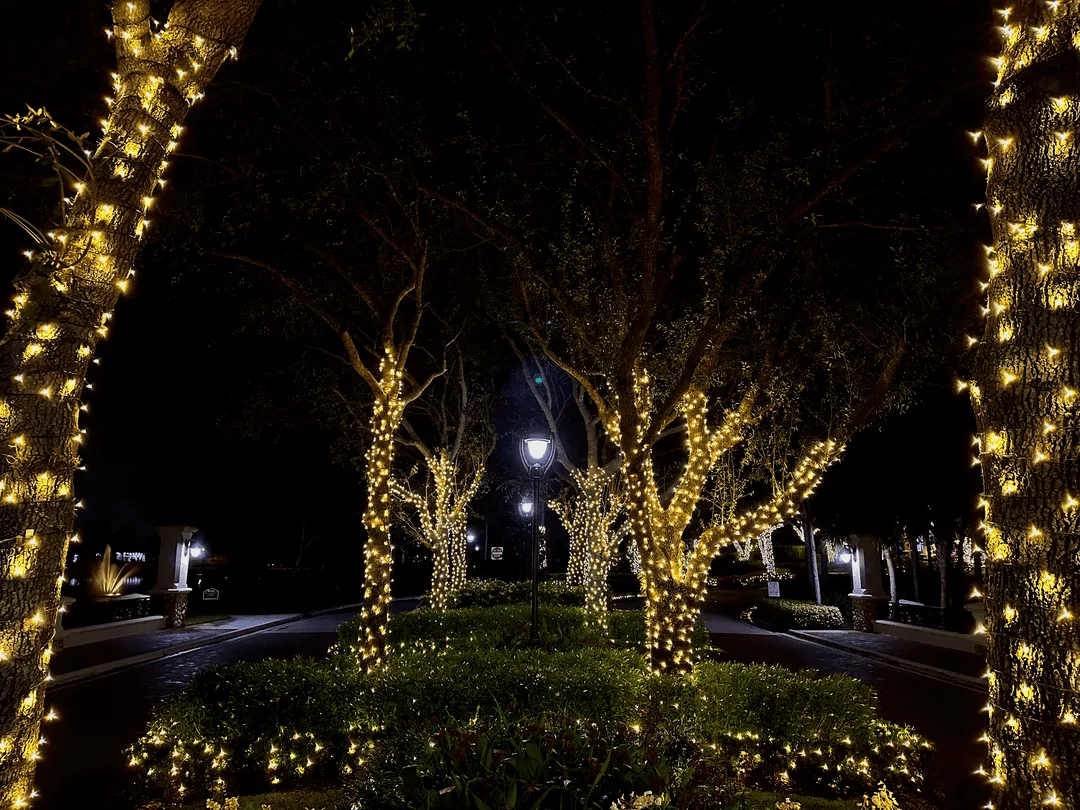 Warm white wrapped trees lining a community entrance drive