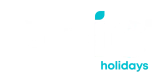 EPIC Holiday Lights logo in white